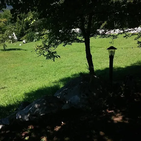 Apartma Brin Apartman